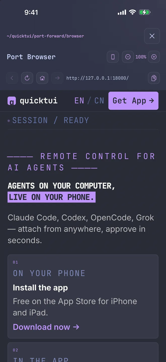 Built-in browser showing a forwarded dev server
