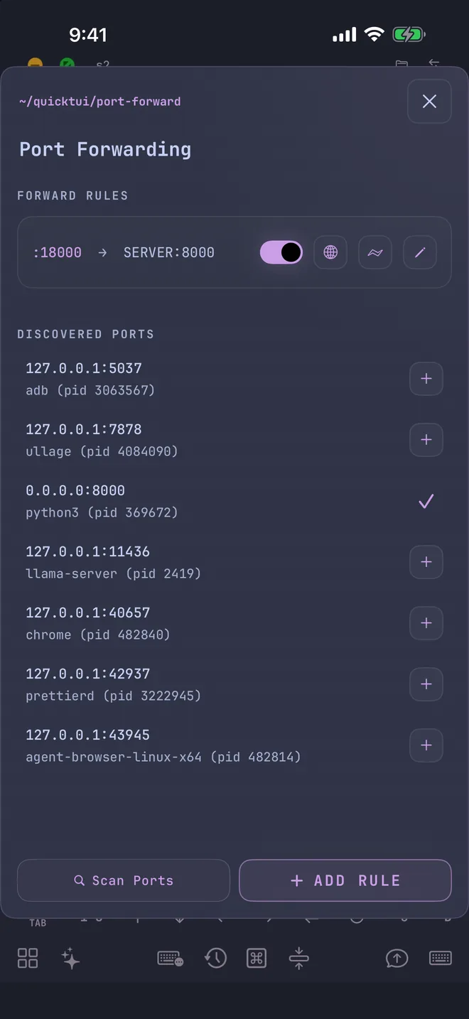 Port forwarding list with detected server ports